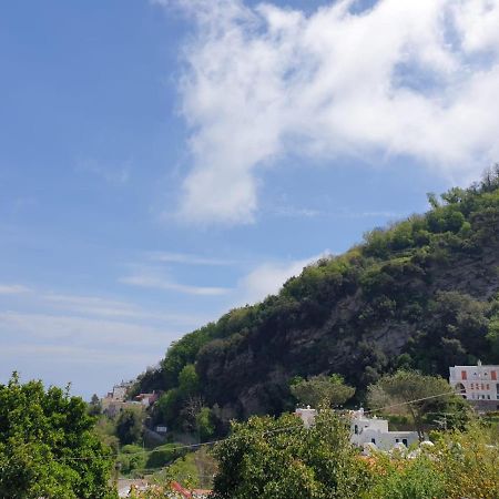 Sweet Home La Chicca イスキア島 エクステリア 写真